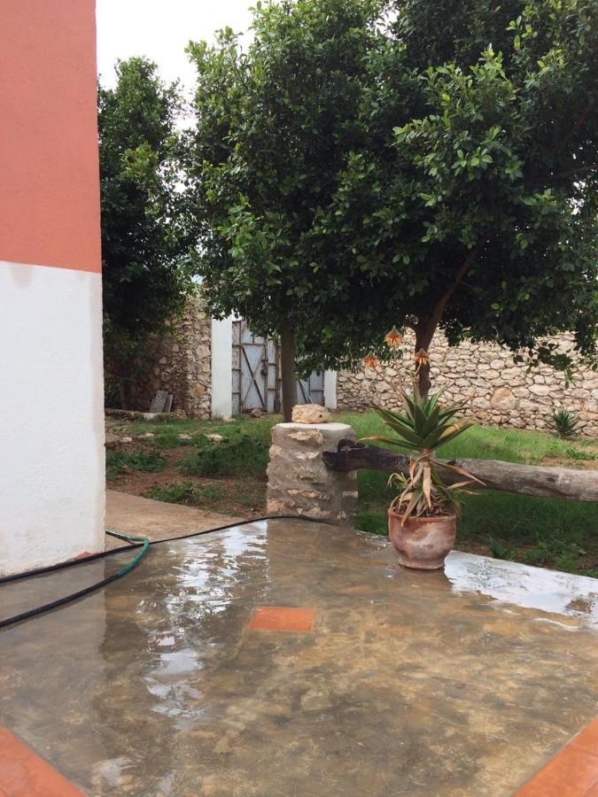 Chez Ali Βίλα Εσαουίρα Εξωτερικό φωτογραφία